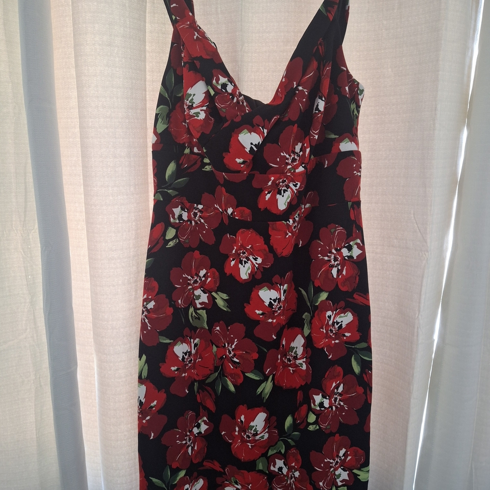BECCA Red Floral Patterned Dress